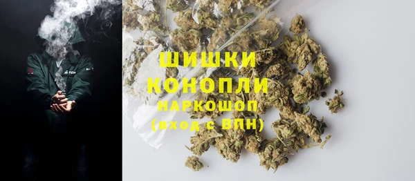 дмт Касимов
