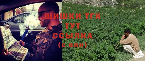дмт Касимов