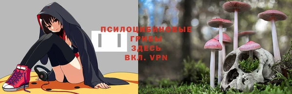 герыч Карпинск