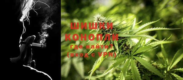 дмт Касимов