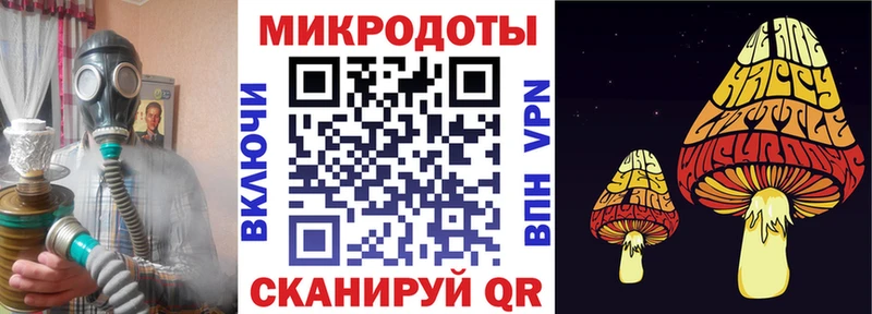 Псилоцибиновые грибы Psilocybe  Крымск 