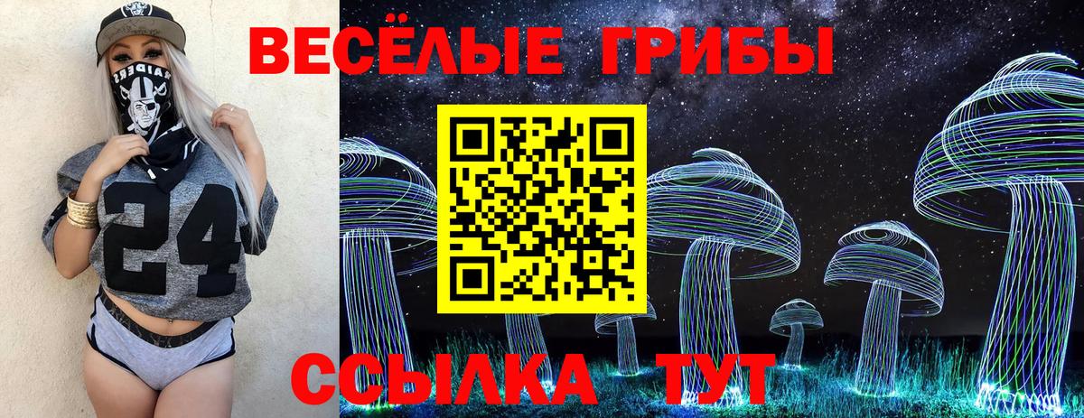 Псилоцибиновые грибы мухоморы  купить наркоту  Крымск  Галлюциногенные грибы прущие грибы  Вход с VPN 